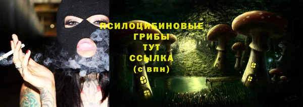 амф Майский