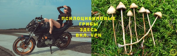 трава Магадан
