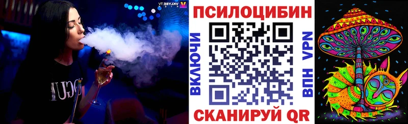 Купить где  Бавлы  Псилоцибиновые грибы прущие грибы 